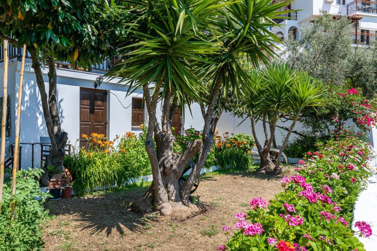 Ourania Apartment Città di Skopelos Esterno foto