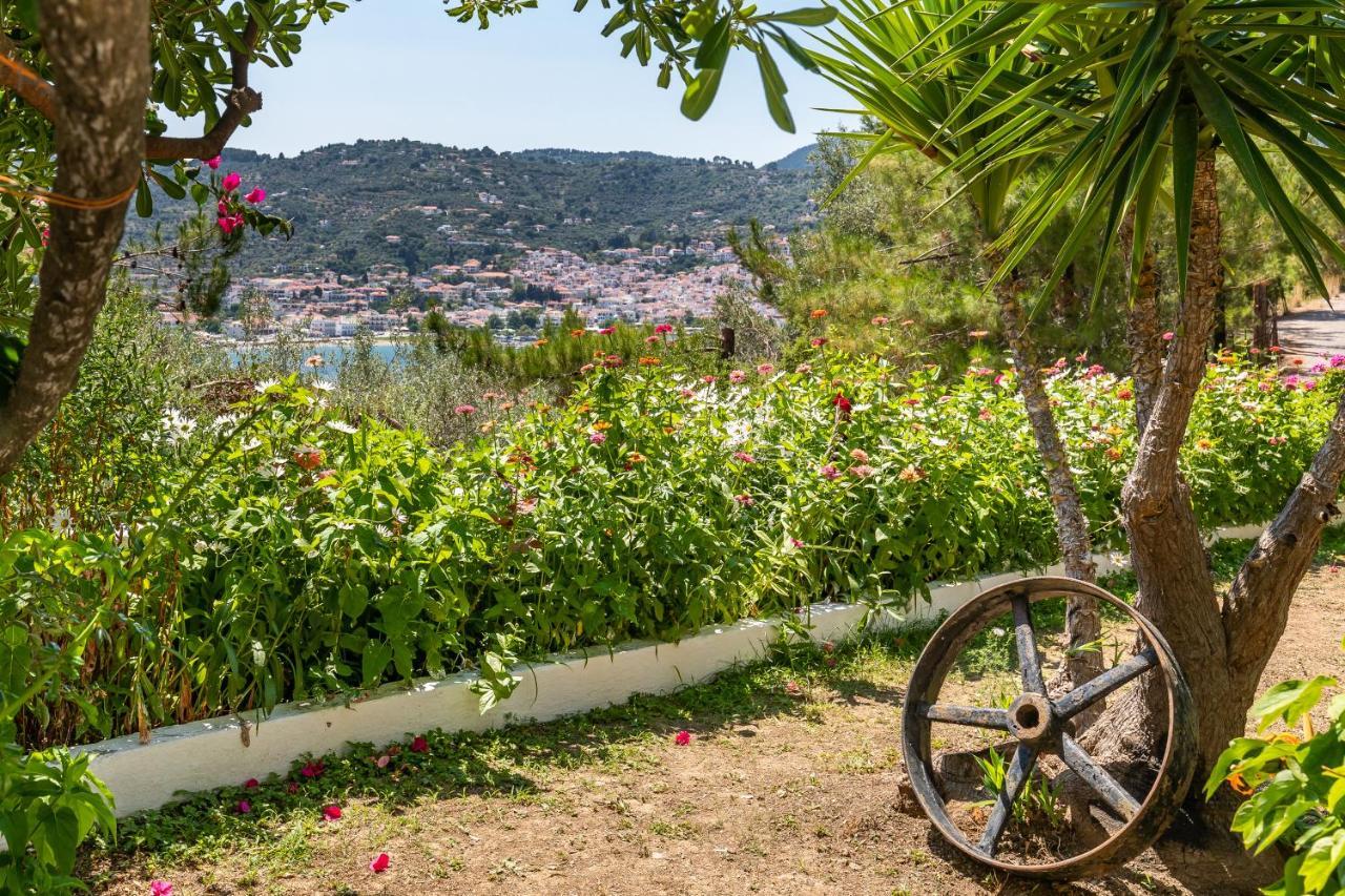 Ourania Apartment Città di Skopelos Esterno foto