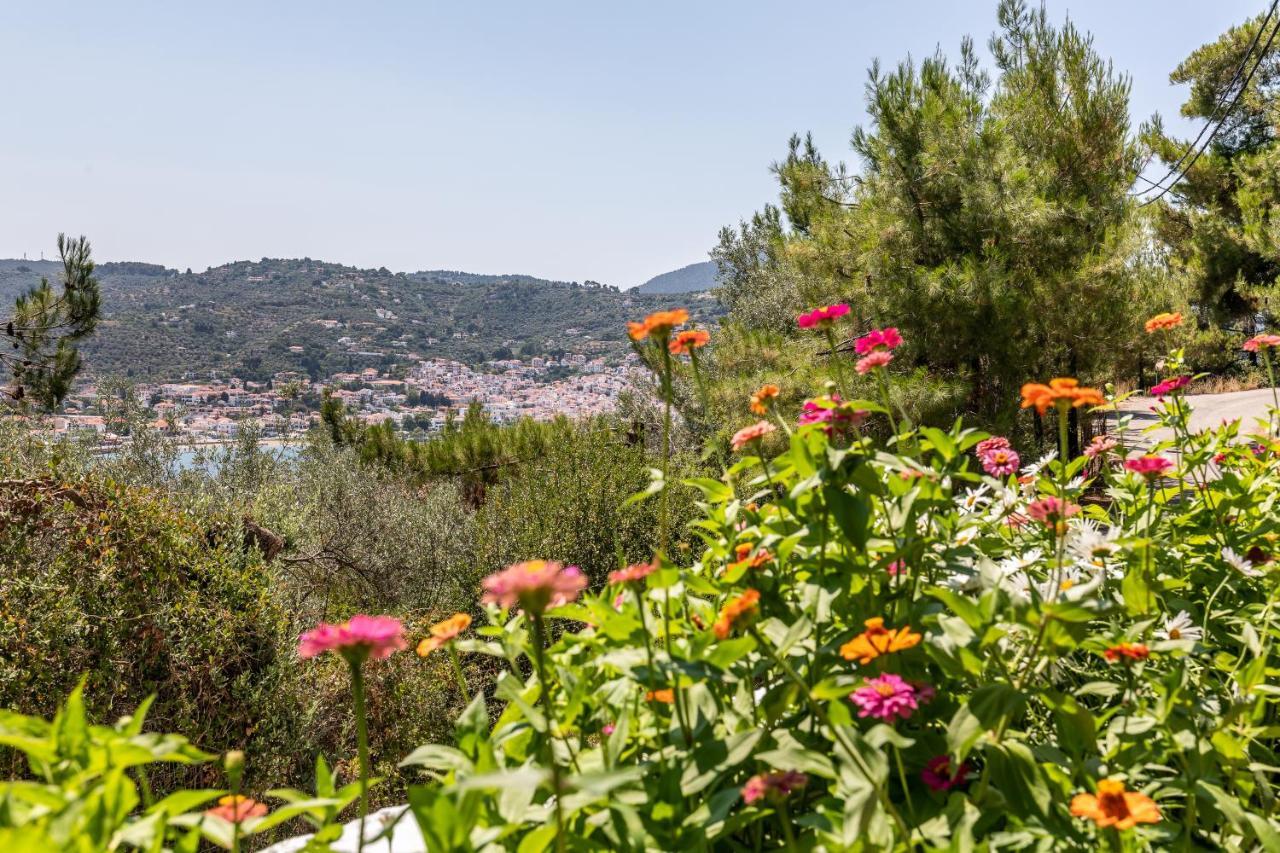 Ourania Apartment Città di Skopelos Esterno foto
